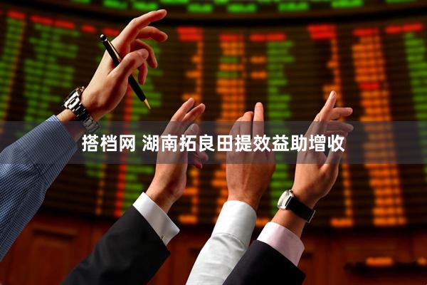 搭档网 湖南拓良田提效益助增收